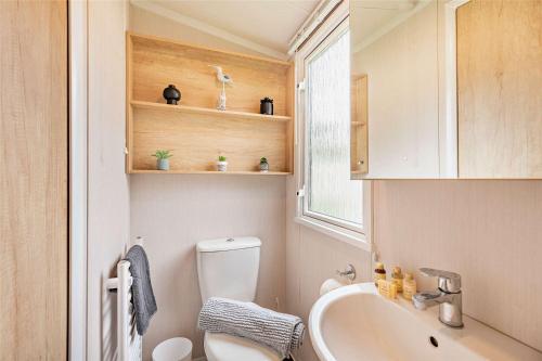 a bathroom with a toilet and a sink and a window at 2 Bed 6 Berth Lodge in Shorefield Oakdene Dorset in Ferndown