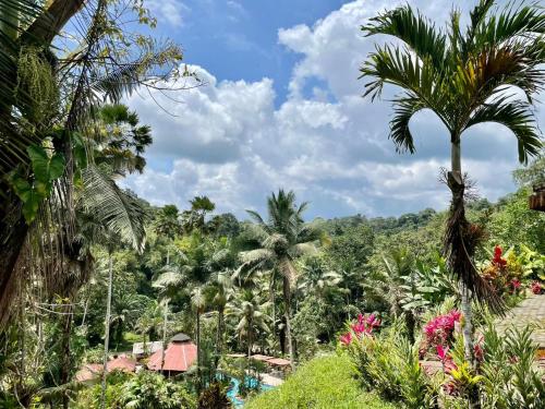 a view of the jungle from the resort at HOSTERIA EL PARAISO in Pedro Vicente Maldonado
