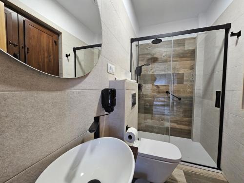 y baño con aseo, lavabo y espejo. en Apartamentos Rurales Lola Penarronda, en Castropol
