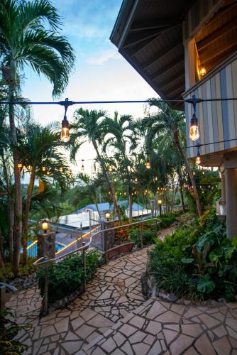 ein Resort mit Palmen und einem Fußweg in der Unterkunft Lazy Parrot Inn in Rincon
