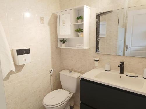 une salle de bain avec toilettes, lavabo et miroir dans l'établissement Jolie dépendance avec terrasse privée et jacuzzi, à Marseille