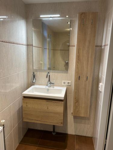 uma casa de banho com um lavatório e um espelho em Haus am Vliet em Medemblik