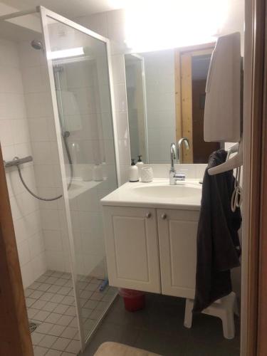 une salle de bain avec une douche, un lavabo et un miroir dans l'établissement Charmant T2 proches centre village, aux Rousses