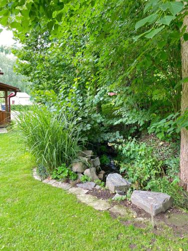a garden with rocks and plants and a tree at Jedlinka 37 in Klášterec nad Orlicí