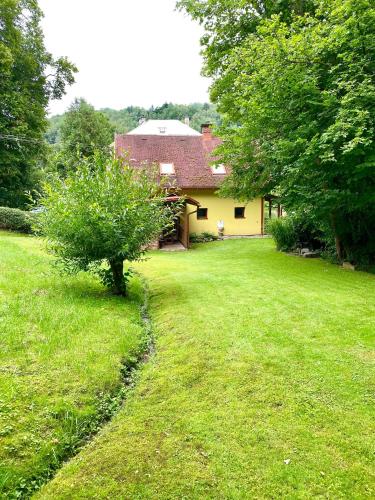 a house with a tree in the yard at Jedlinka 37 in Klášterec nad Orlicí
