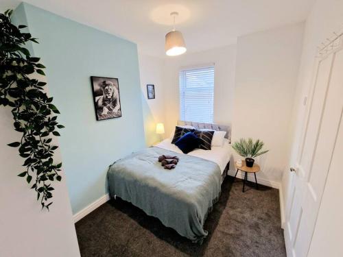 a bedroom with a bed and a potted plant at 3 Double-Bedroom House with FREE WiFi by Amazing Spaces Relocations Ltd in Barrow in Furness