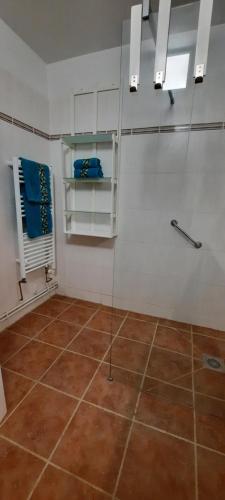 a room with a shower with a tile floor at Gite Charlrose at La Platriere in Cazedarnes