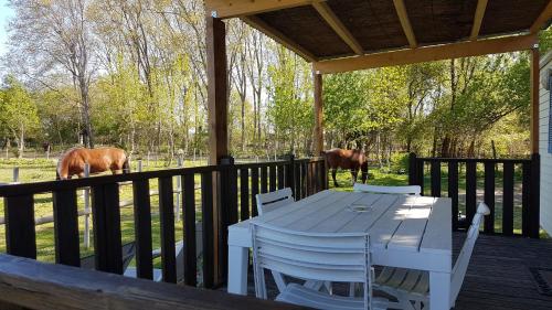 Φωτογραφία από το άλμπουμ του Les gîtes de camargue σε Le Cailar