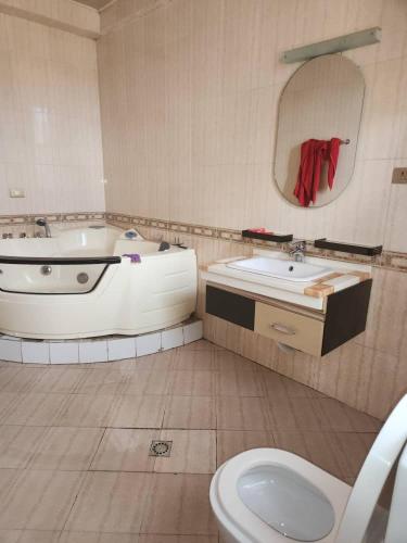 a bathroom with a tub and a sink and a toilet at Luxury Gest house in Addis Ababa
