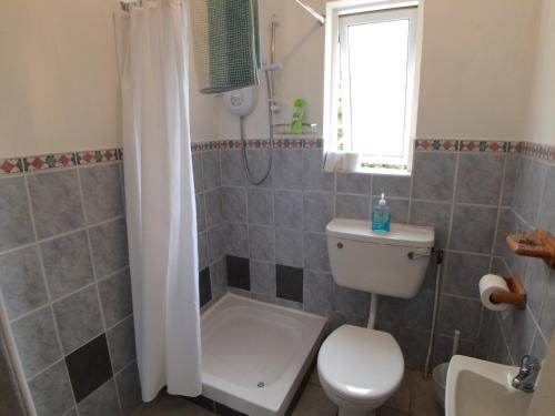 a bathroom with a toilet and a shower at Rossnowlagh Creek Chalet 6 in Rossnowlagh