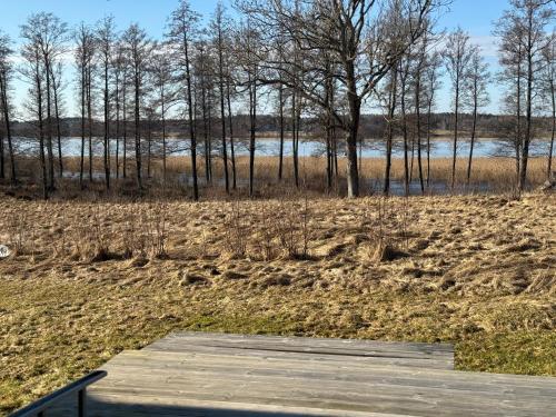 a boardwalk in a field with trees in the background at Atterfallshus1 in Nyköping