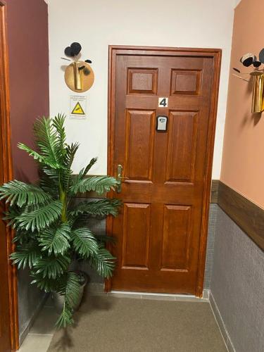 a wooden door with a plant in front of it at Allaga City Center in Budapest