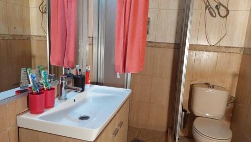 a bathroom with a sink and a toilet and a mirror at Apartamentos-Monasterio-de-San-Antonio-Guenstiges-Apartment-zur-Strasse in Icod de los Vinos