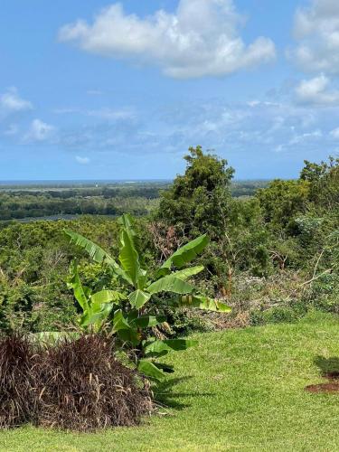 Imagen de la galería de A80@VIPINGO RIDGE, en Kilifi