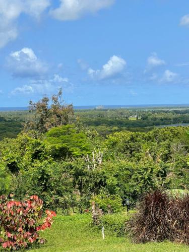 Imagen de la galería de A80@VIPINGO RIDGE, en Kilifi