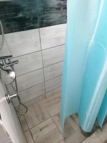 a blue surfboard sitting on the floor in a shower at Vikendica Dunav i SAVA in Donji Milanovac