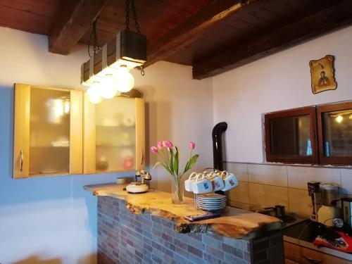 a kitchen with a counter top with a sink at Vikendica Dunav i SAVA in Donji Milanovac