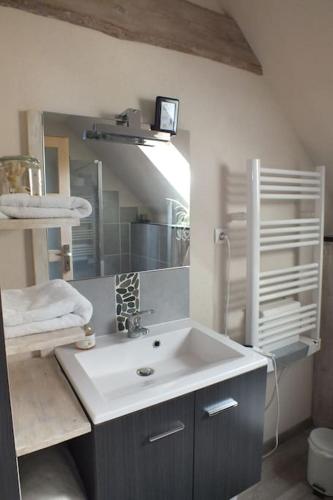 une salle de bain avec un lavabo et un miroir dans l'établissement Un coin de montagne, à Linthal