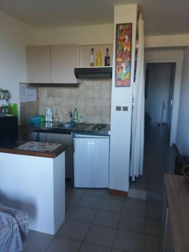 une cuisine avec un réfrigérateur blanc et un évier dans l'établissement Appartement avec piscine partagée, à Calenzana