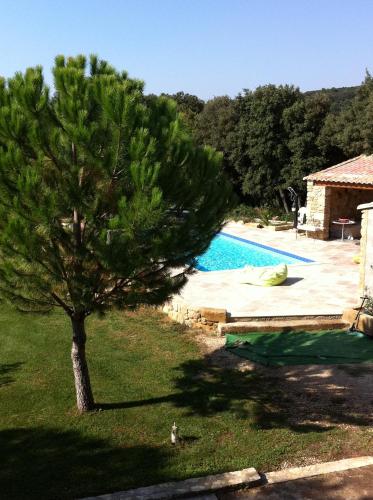 a pine tree next to a swimming pool at Le carpe noctem suite de charme avec jacuzzi privé in Sérignan-du-Comtat