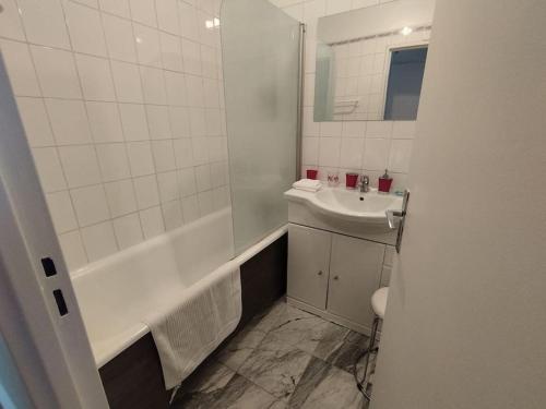 Sarcelles, appartement spacieux tesisinde bir banyo