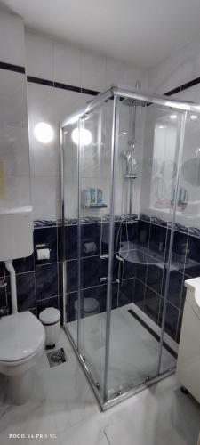 a bathroom with a shower and a toilet at Retro Cosy Apartment in Mirijevo