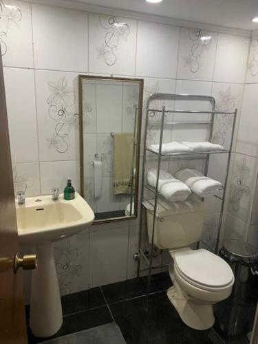 a bathroom with a toilet and a sink and a mirror at Departamento amoblado Agustinas in Santiago
