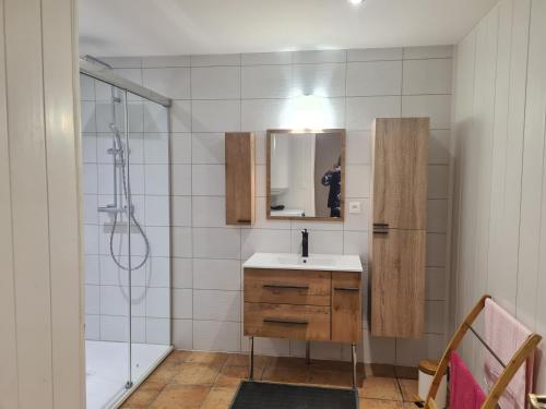 ein Bad mit einem Waschbecken, einem Spiegel und einer Dusche in der Unterkunft La ferme d Istrie in La Longeville
