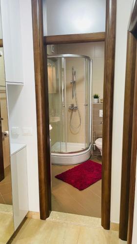 a bathroom with a shower with a red rug at Gabrijel Apartments Makarska 2 in Makarska