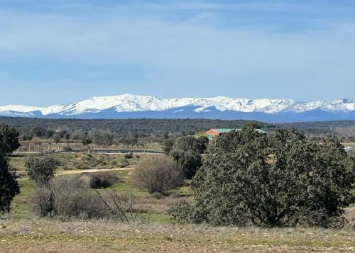 ein Feld mit Bäumen und schneebedeckten Bergen im Hintergrund in der Unterkunft La Pedrosa Casa Rural in Camarzana de Tera