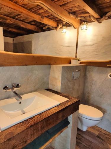 a bathroom with a sink and a toilet at Pokoje Gościnne Skalnik - Agroturystyka- Różne pokoje in Kostrzyn nad Odrą
