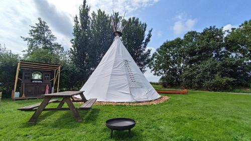 a tent in a field with a picnic table and a grill at Wigwam in Roodhuis