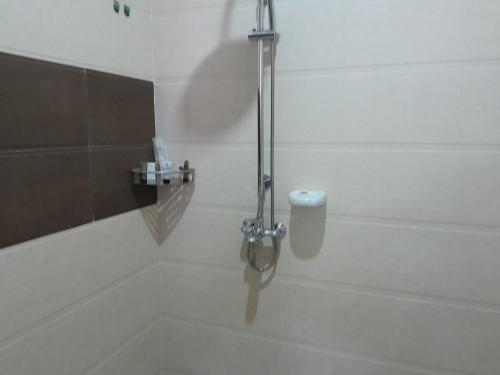 a shower stall in a bathroom with a toilet at HOTEL MDOPE MBEYA in Mbeya