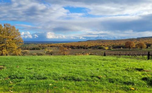 Un paisaje natural cerca de la casa vacacional