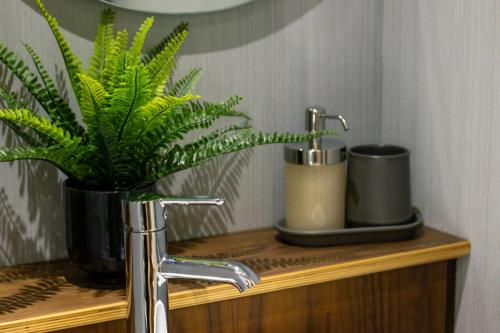 a plant sitting on a wooden shelf next to a sink at Flat in Nottingham City Centre in Nottingham
