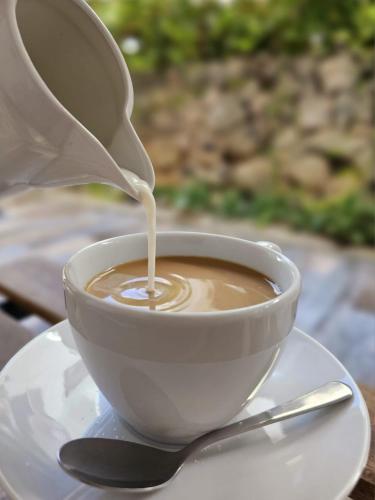 a cup of coffee on a plate with a spoon at Honky Tonk Punta Cana in Punta Cana