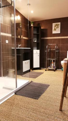 une salle de bain avec une douche en verre et des toilettes dans l'établissement LES BOHEMIELLES 4**** Cottage MARTIN, à Cartelègue