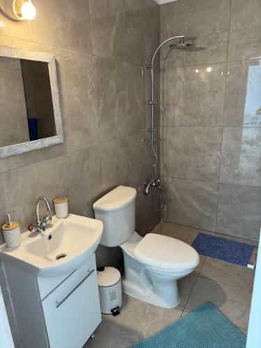 een badkamer met een toilet, een wastafel en een douche bij LATSI BLUE LAGOON 12 in Lachi
