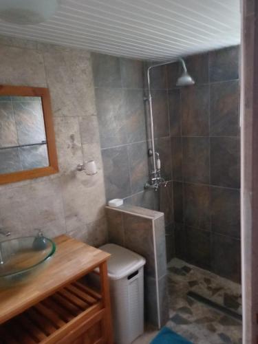 a bathroom with a shower and a toilet and a sink at La petite perle in Ducos