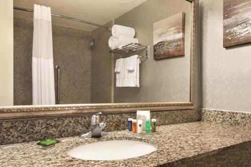 um balcão de casa de banho com um lavatório e um espelho em Radisson Hotel Fort Worth North-Fossil Creek em Fort Worth