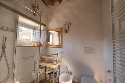 a bathroom with a shower and a toilet and a sink at Podere Fontanino in Arezzo