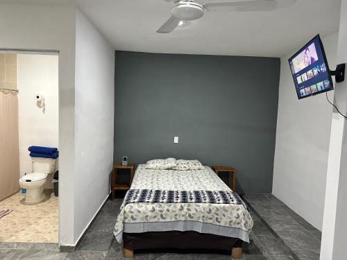 1 dormitorio con 1 cama y TV en la pared en Departamento 48 Street, en Valladolid