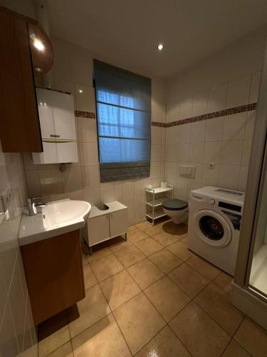 ein Badezimmer mit einem Waschbecken und einer Waschmaschine in der Unterkunft Merseburg 2 Zimmer Apartment mit guter Ausstattung in Merseburg