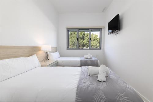 een witte kamer met 2 bedden en een televisie bij ApartUP Turia River Park in Valencia