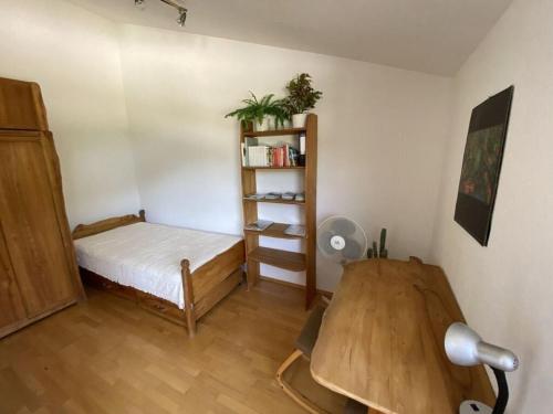 a room with a bed and a book shelf at Apartment in Zwingenberg in Zwingenberg