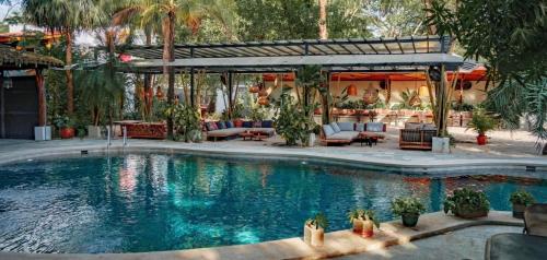 una piscina con sillas y un patio en Curiol Boutique Hotel & Lounge, en Potrero