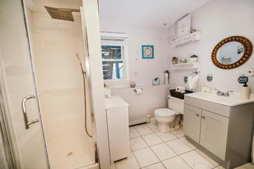 a bathroom with a toilet and a sink and a shower at Lake House Dream Views and surrounded by nature in Vernon Township