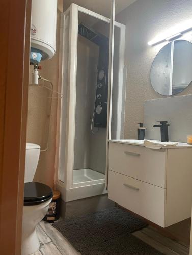 une salle de bain avec toilettes, lavabo et douche dans l'établissement Appartement Saint Pierre la mer vue Mer, à Fleury
