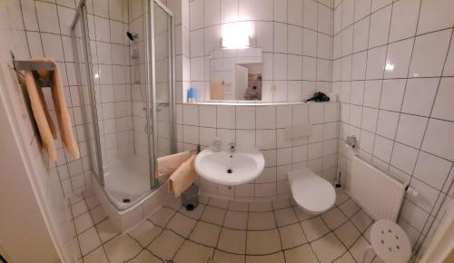 La salle de bains est pourvue d'un lavabo, d'une douche et de toilettes. dans l'établissement Waldpension Am Köpfchen, à Kurort Steinbach-Hallenberg