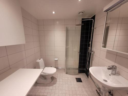 a bathroom with a toilet and a sink and a shower at Home Inn RSG19 in Stockholm
